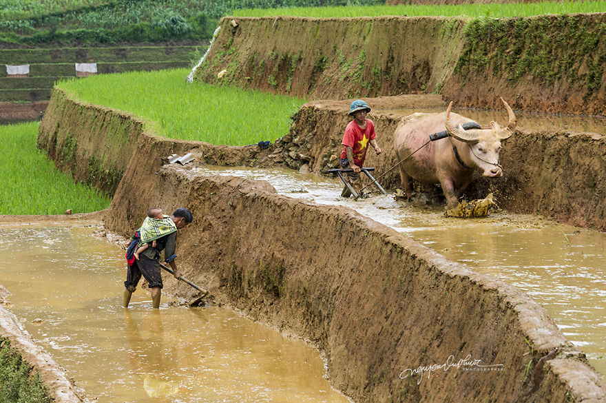 Can Cau Market - Amazing Market In Sapa