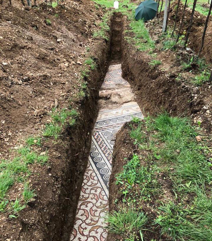 'Could Be This Year's Biggest Find': Ancient Roman Mosaic Floor Uncovered In Verona 'Could Be This Year's Biggest Find': Ancient Roman Mosaic Floor Uncovered In Verona