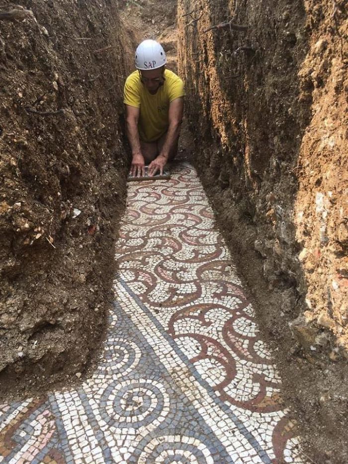 'Could Be This Year's Biggest Find': Ancient Roman Mosaic Floor Uncovered In Verona