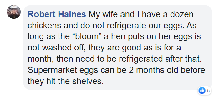 Americans Realize That Almost All Of The Rest Of The World Do Not Buy Refrigerated Eggs And A TikToker Explains Why Americans Realize That Almost All Of The Rest Of The World Do Not Buy Refrigerated Eggs And A TikToker Explains Why
