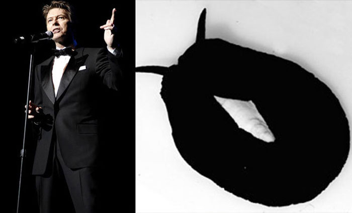 Nudibranchia-Opisthobranchia-David-Bowie