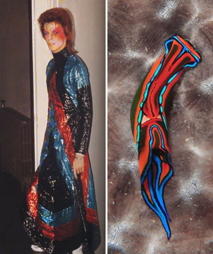 Nudibranchia-Opisthobranchia-David-Bowie