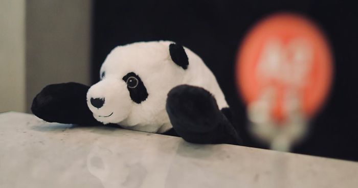 Restaurant Finds A Genius Way To Help Their Customers Feel Less Lonely While Social Distancing Using Pandas (10 Pics)Restaurant Finds A Genius Way To Help Their Customers Feel Less Lonely While Social Distancing Using Pandas (10 Pics)