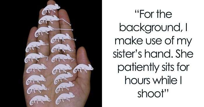 I Create Papercut Animations And Each One Takes At Least A Week To Complete (19 GIFs)