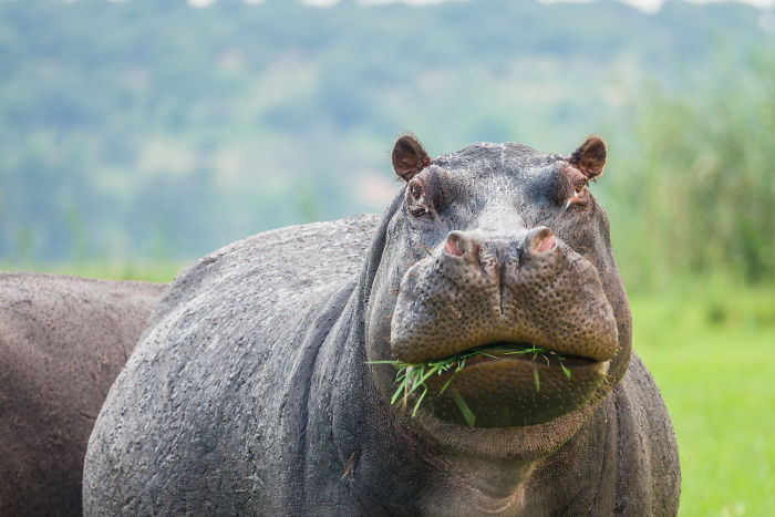 Parent Asks For Mind-Blowing But Simple Facts That Would Satisfy A 3-Year-Old Before Bedtime, Gets 30 Responses