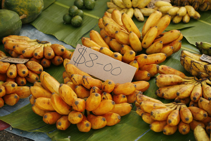 Parent Asks For Mind-Blowing But Simple Facts That Would Satisfy A 3-Year-Old Before Bedtime, Gets 30 Responses