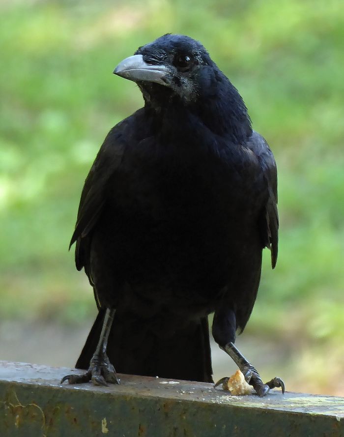 Parent Asks For Mind-Blowing But Simple Facts That Would Satisfy A 3-Year-Old Before Bedtime, Gets 30 Responses