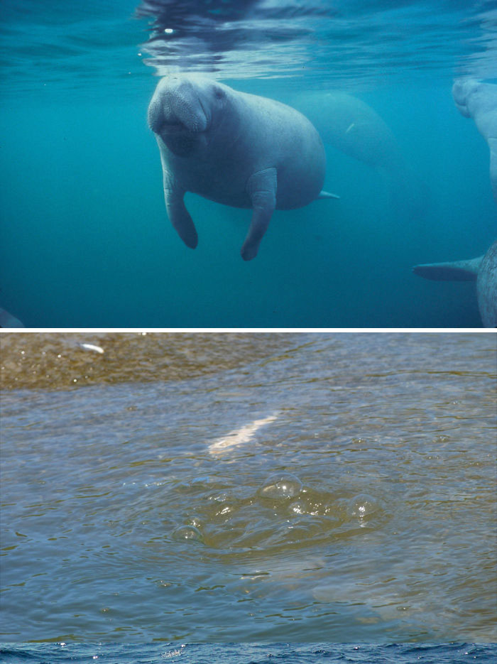 Parent Asks For Mind-Blowing But Simple Facts That Would Satisfy A 3-Year-Old Before Bedtime, Gets 30 Responses