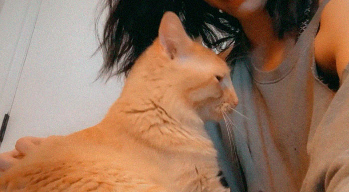 This Dude Kept Showing Up In My Boyfriends Garage. After A Few Weeks We Took Him To The Animal Shelter To Get Checked Out. We Officially Got To Adopt Him On Wednesday. Everyone, Meet Alfred