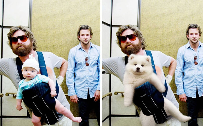 I Wanted To Spread Some Positivity So I Replaced Actors In Famous Movie Scenes With My Dogs (13 Pics)