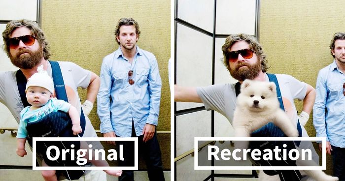 I Wanted To Spread Some Positivity So I Replaced Actors In Famous Movie Scenes With My Dogs (13 Pics)