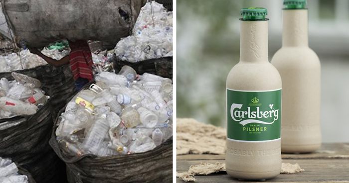 Coca-Cola And Carlsberg Introduce Plant-Based Bottles That Degrade In A Year