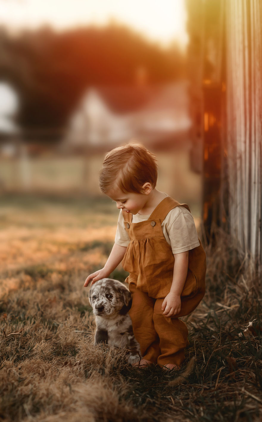 I Capture Children With Animals And Create Magical Moments.