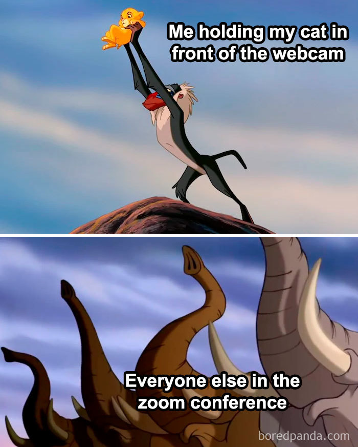 Quarantine-Corona-Jokes