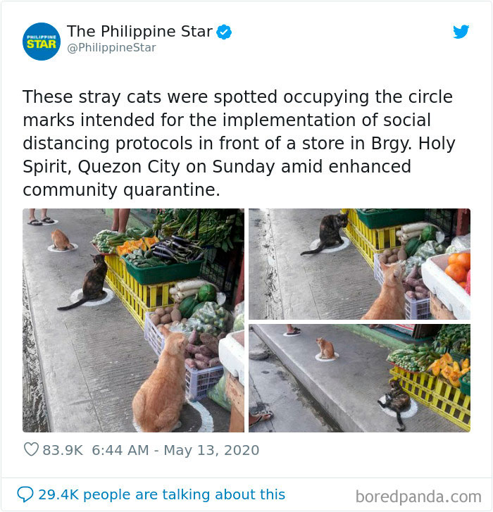 Quarantine-Corona-Jokes