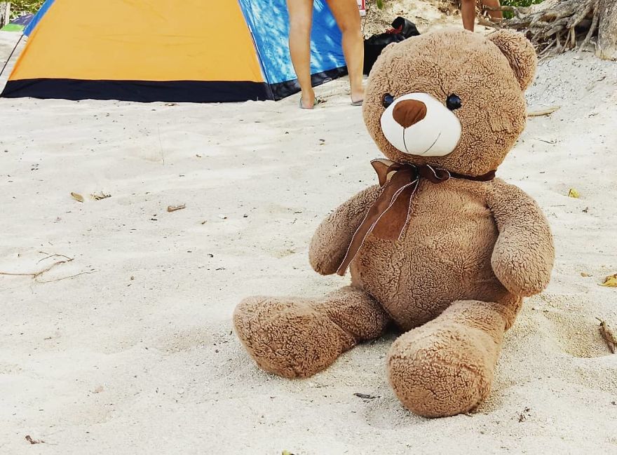 The Adventures Of Milo The Bear