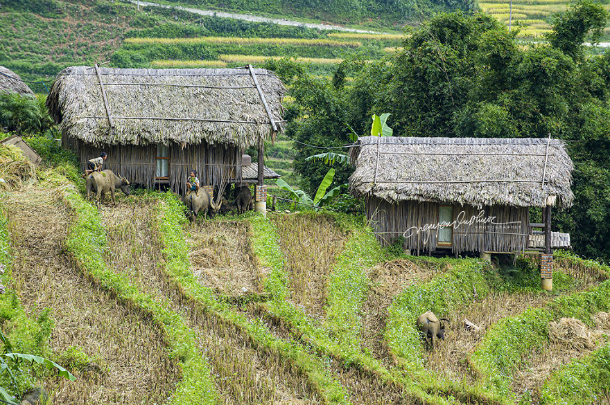 Can Cau Market - Amazing Market In Sapa Can Cau Market - Amazing Market In Sapa