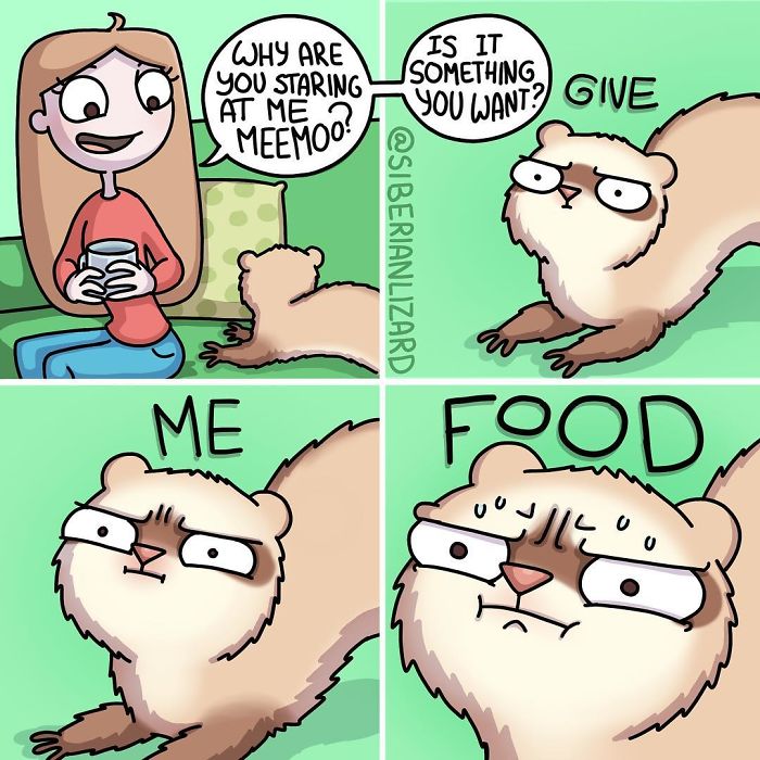 Funny-Ferrets-Comics-Siberian-Artist-Liza-Nechaeva