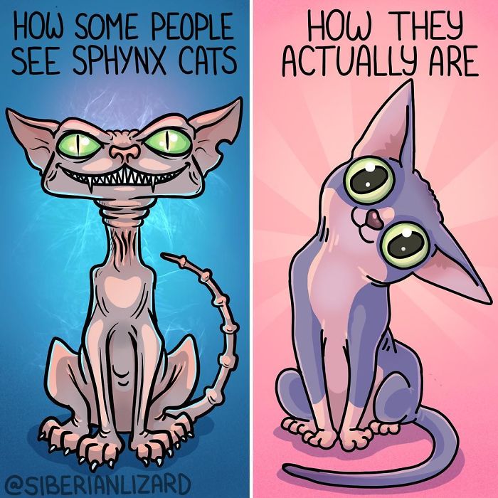 Funny-Ferrets-Comics-Siberian-Artist-Liza-Nechaeva