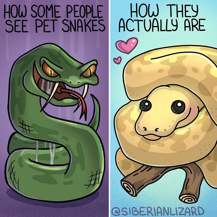 Funny-Ferrets-Comics-Siberian-Artist-Liza-Nechaeva