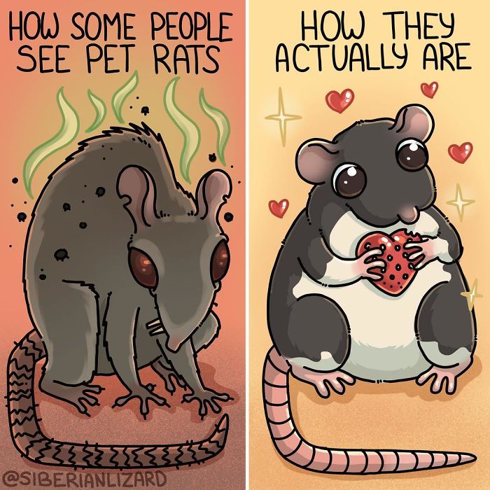 Funny-Ferrets-Comics-Siberian-Artist-Liza-Nechaeva