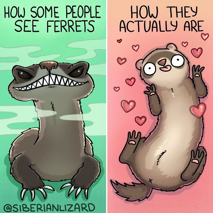 Funny-Ferrets-Comics-Siberian-Artist-Liza-Nechaeva
