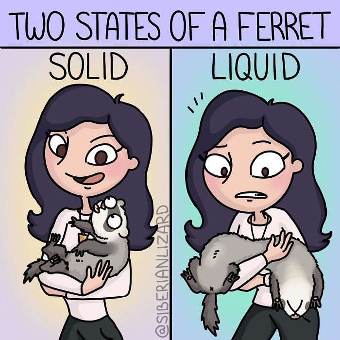 Funny-Ferrets-Comics-Siberian-Artist-Liza-Nechaeva