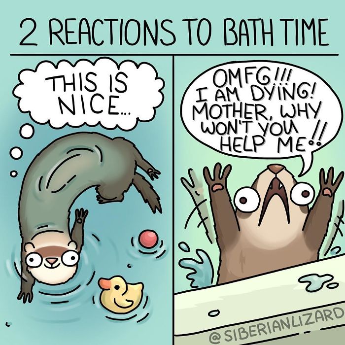 Funny-Ferrets-Comics-Siberian-Artist-Liza-Nechaeva