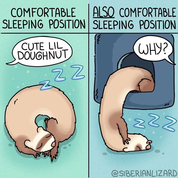 Funny-Ferrets-Comics-Siberian-Artist-Liza-Nechaeva