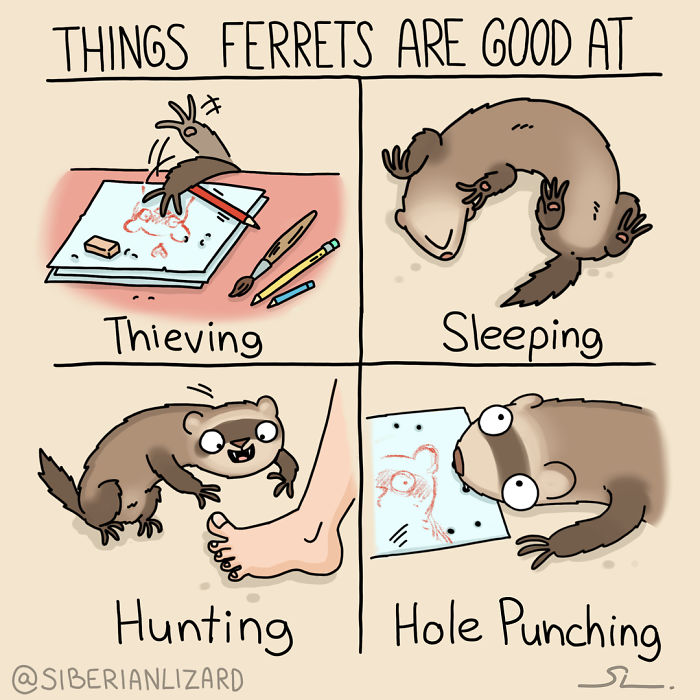 Funny-Ferrets-Comics-Siberian-Artist-Liza-Nechaeva