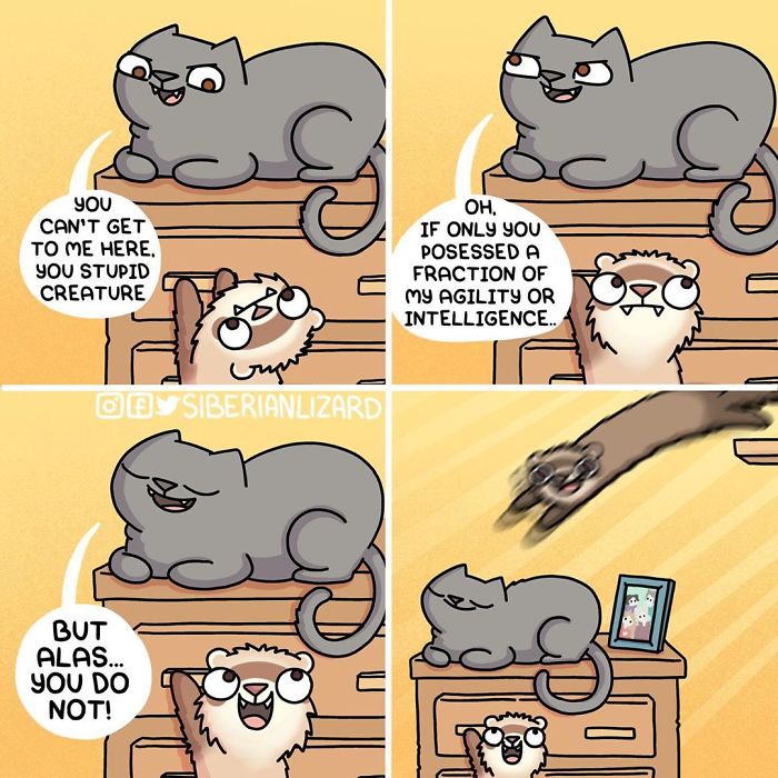 Funny-Ferrets-Comics-Siberian-Artist-Liza-Nechaeva