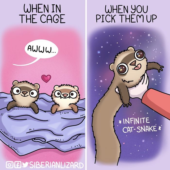 Funny-Ferrets-Comics-Siberian-Artist-Liza-Nechaeva