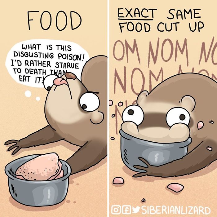 Funny-Ferrets-Comics-Siberian-Artist-Liza-Nechaeva