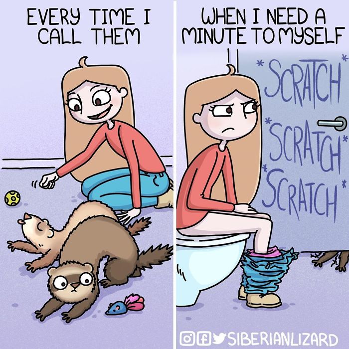 Funny-Ferrets-Comics-Siberian-Artist-Liza-Nechaeva