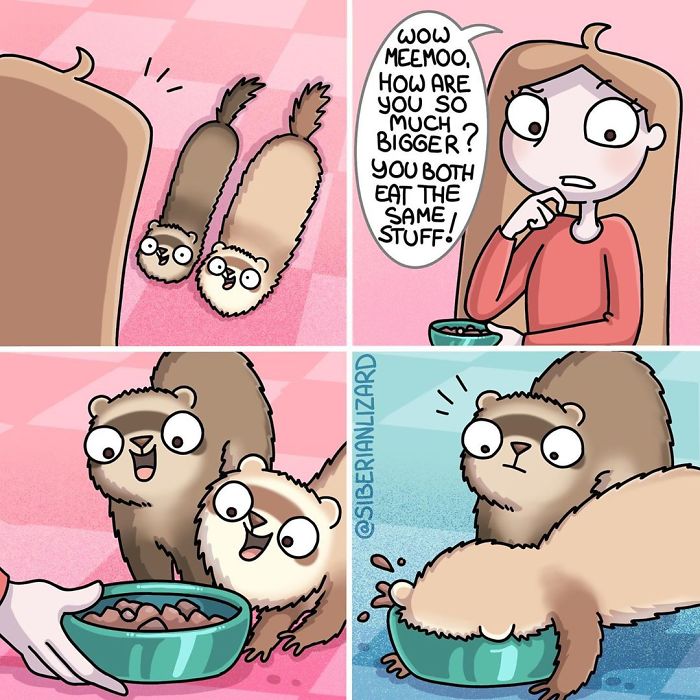 Funny-Ferrets-Comics-Siberian-Artist-Liza-Nechaeva