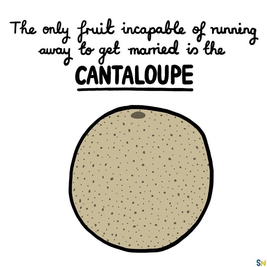 They Have No Sense Of Adventure