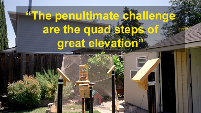 Former NASA Engineer Builds The Perfect Squirrel-Proof Bird Feeder And Watches Them Battle For The Treats