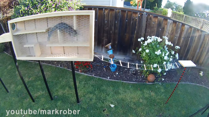 Former NASA Engineer Builds The Perfect Squirrel-Proof Bird Feeder And Watches Them Battle For The Treats