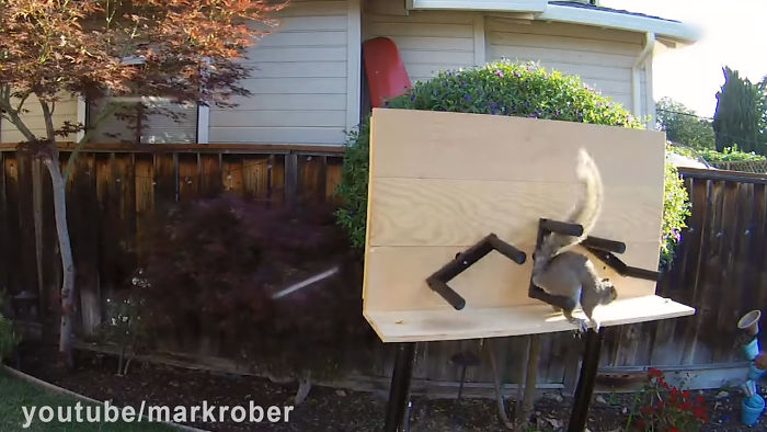 Former NASA Engineer Builds The Perfect Squirrel-Proof Bird Feeder And Watches Them Battle For The Treats