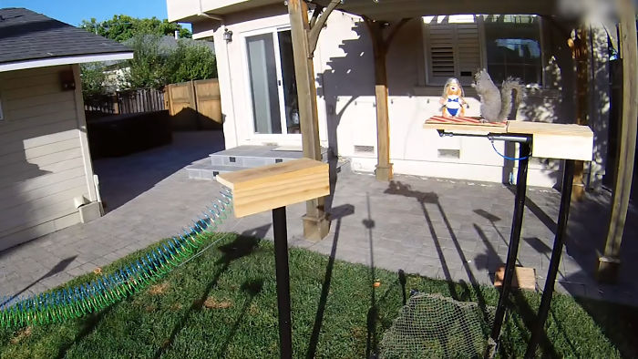Former NASA Engineer Builds The Perfect Squirrel-Proof Bird Feeder And Watches Them Battle For The Treats