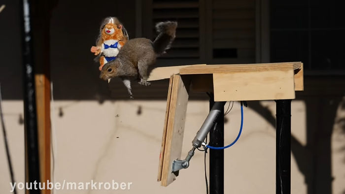 Former NASA Engineer Builds The Perfect Squirrel-Proof Bird Feeder And Watches Them Battle For The Treats