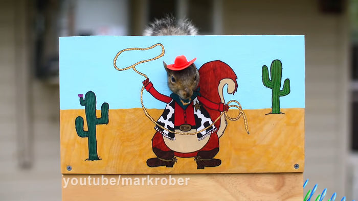 Former NASA Engineer Builds The Perfect Squirrel-Proof Bird Feeder And Watches Them Battle For The Treats