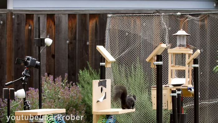 Former NASA Engineer Builds The Perfect Squirrel-Proof Bird Feeder And Watches Them Battle For The Treats