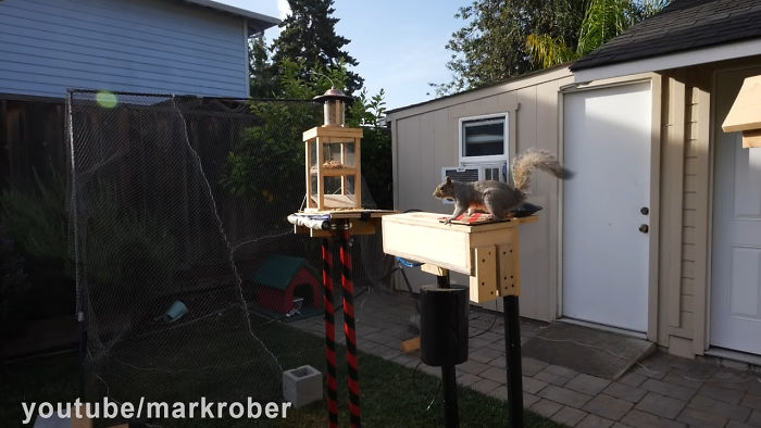 Former NASA Engineer Builds The Perfect Squirrel-Proof Bird Feeder And Watches Them Battle For The Treats