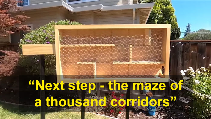 Former NASA Engineer Builds The Perfect Squirrel-Proof Bird Feeder And Watches Them Battle For The Treats