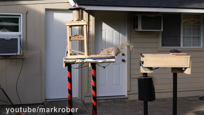 Former NASA Engineer Builds The Perfect Squirrel-Proof Bird Feeder And Watches Them Battle For The Treats