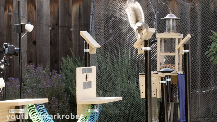 Former NASA Engineer Builds The Perfect Squirrel-Proof Bird Feeder And Watches Them Battle For The Treats