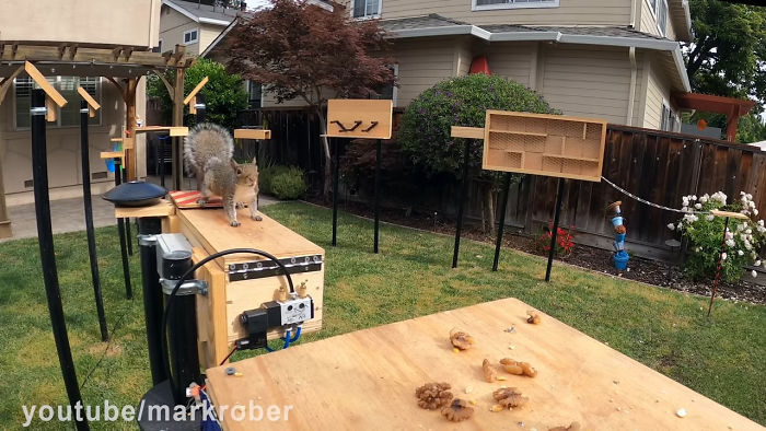Former NASA Engineer Builds The Perfect Squirrel-Proof Bird Feeder And Watches Them Battle For The Treats