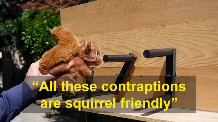 Former NASA Engineer Builds The Perfect Squirrel-Proof Bird Feeder And Watches Them Battle For The Treats