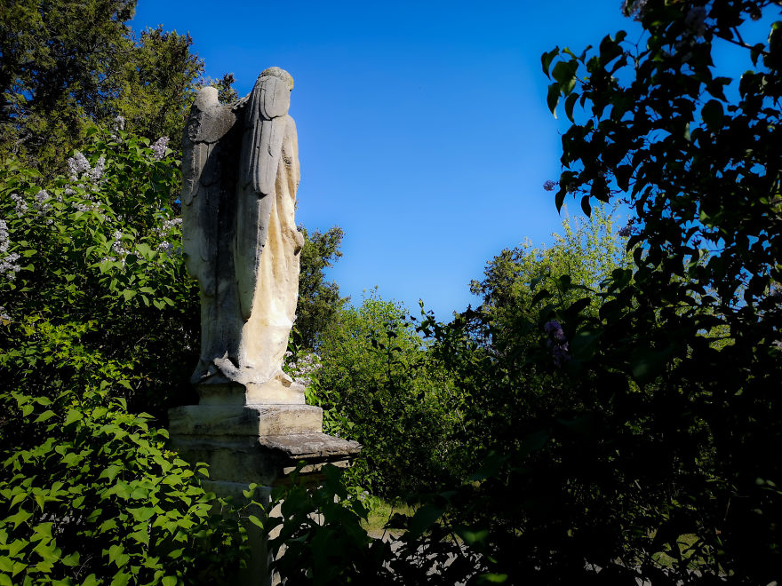 22 Photos Showing The Overgrown Cemetery Of Mozart Burial Place 22 Photos Showing The Overgrown Cemetery Of Mozart Burial Place